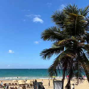Downtown Condado Tropical , San Juan Puerto Rico