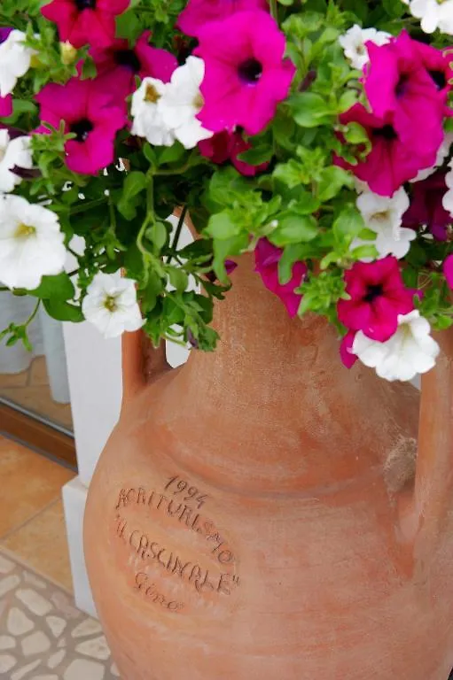 Agriturismo Il Cascinale Treviso Farm stay